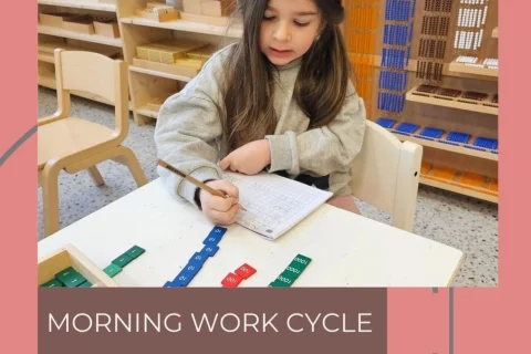 The Morning Work Cycle